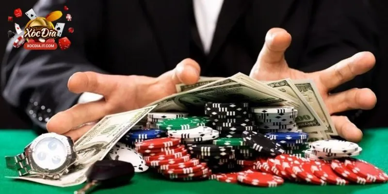 Trải nghiệm đẳng cấp tại Zo88